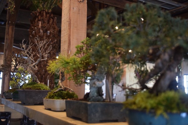 E66FDD01-0365-4505-A579-6DF53E3454D8