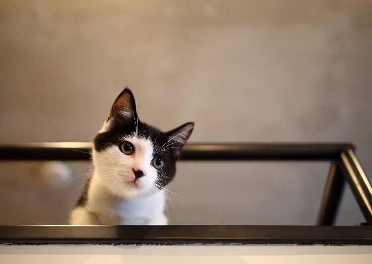 マンションリノベーション!