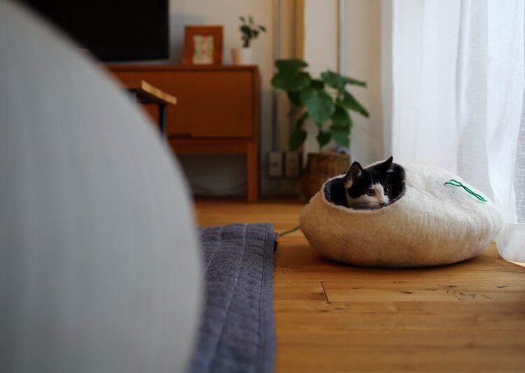 ペイントパーリー!!