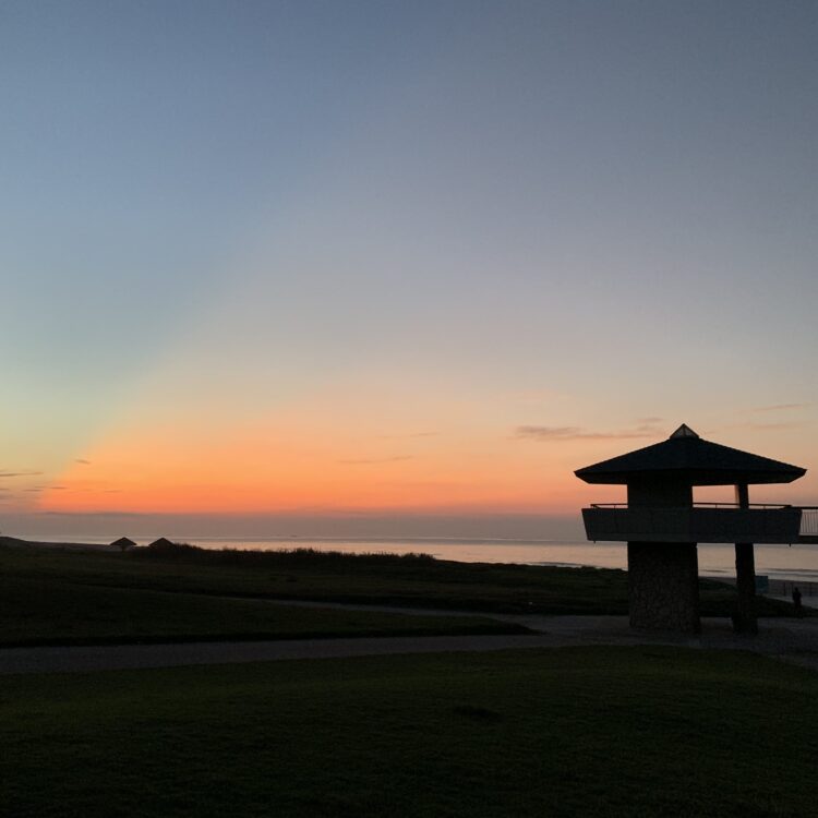 視察からの波乗り？