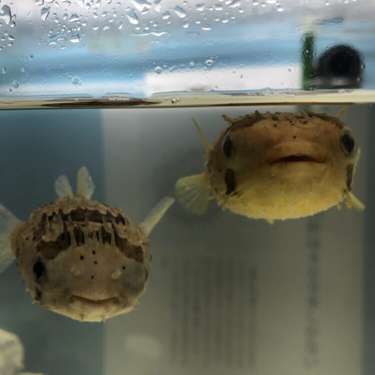 お引渡しの儀！其の弐