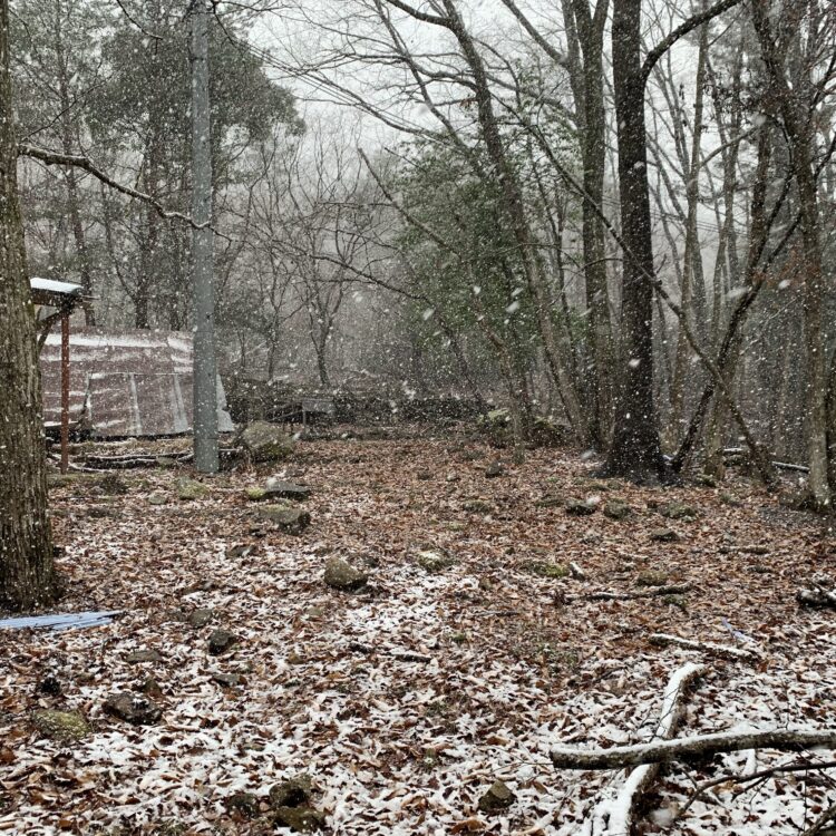 キャンプ場リノベーション