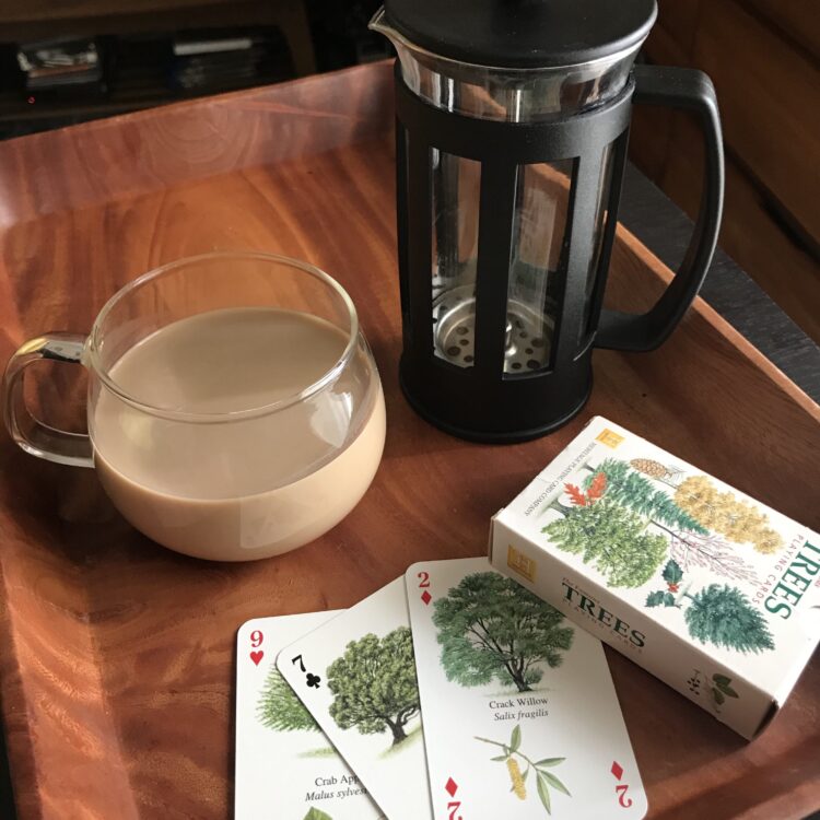 おうち時間の過ごし方