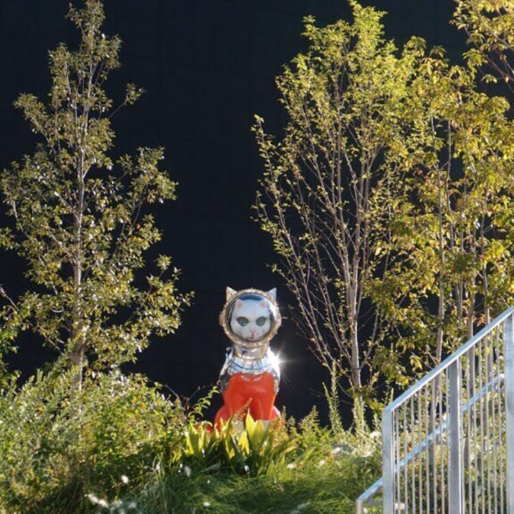 宇宙から『守り猫』現る！