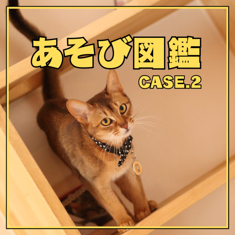 『あそび図鑑』 CASE.2