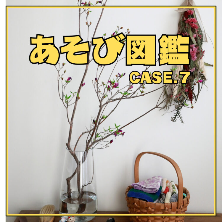 『あそび図鑑』 CASE.7