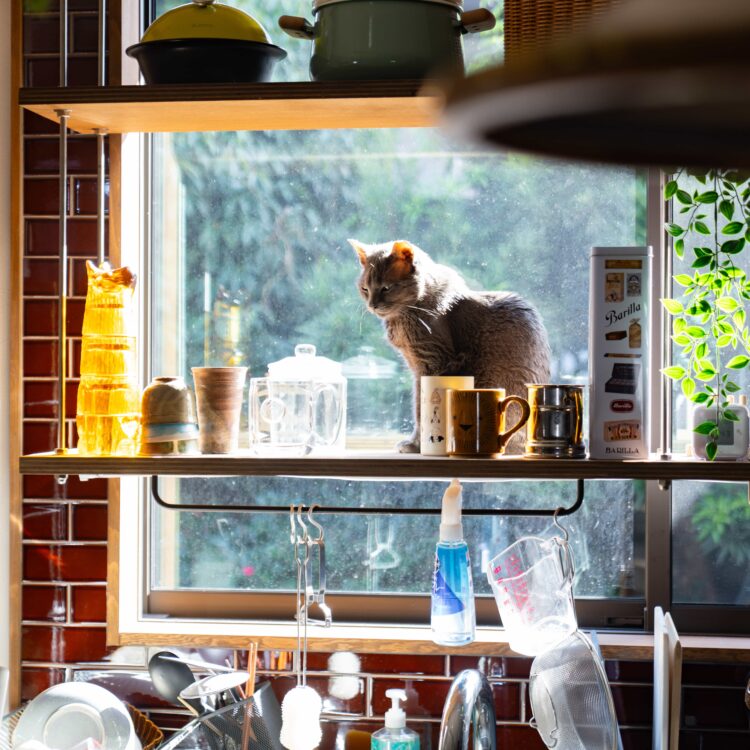 当初は新築利便性派でしたが、これがベストだって思いましたね。